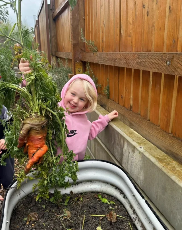 🌱 Did you know our Wallan centre has its very own dedicated vegetable garden?

It's one of our favourite things about life at North Star Wallan, a real, working garden space where children get their hands in the soil, watch things grow, and discover where food actually comes from.

Last week during Healthy Eating Week, our Kinder children headed out to harvest their very own carrots, pulling them straight from the ground and lighting up with excitement at every single one. 🥕

Inside, the children created their own colourful fruit skewers, exploring different fruits and vegetables and chatting about why healthy food choices matter.

At North Star, healthy eating isn't just a week-long celebration, it's woven into every single day. Our centre menu has been carefully crafted by a paediatric nutritionist to ensure every meal and snack supports the growth, development, and wellbeing of your child.
From our garden beds to their plates, we're passionate about nurturing healthy habits from the very beginning. 

Come and see our garden for yourself!
